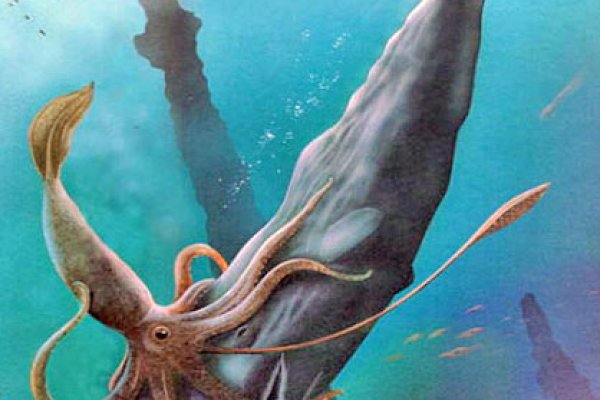 Kraken mirror