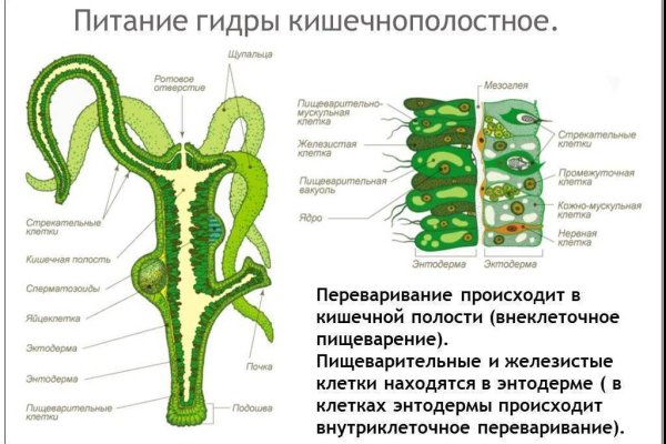 Как зайти в кракен через айфон