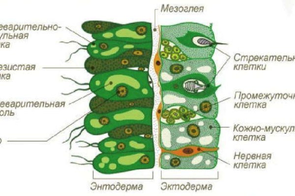 Ссылка на кракен onion kraken dark link
