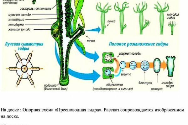 Магазин веществ кракен