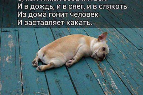 Как найти официальный сайт кракен