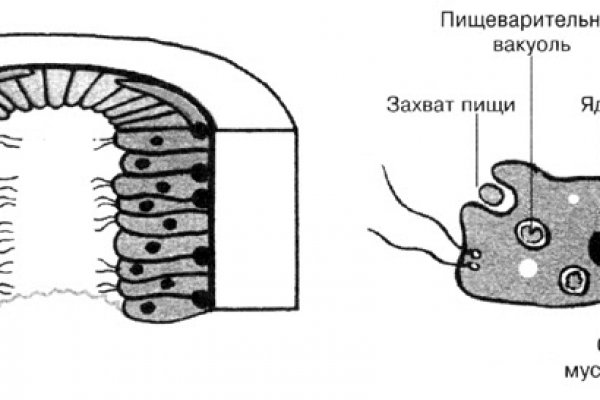 Кракен через тор